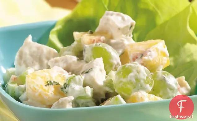 Insalata di frutta di pollo