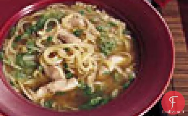 Zuppa di spaghetti di pollo cinese con sesamo e cipolle verdi