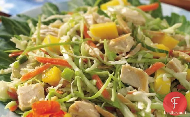 Insalata di pollo al mango