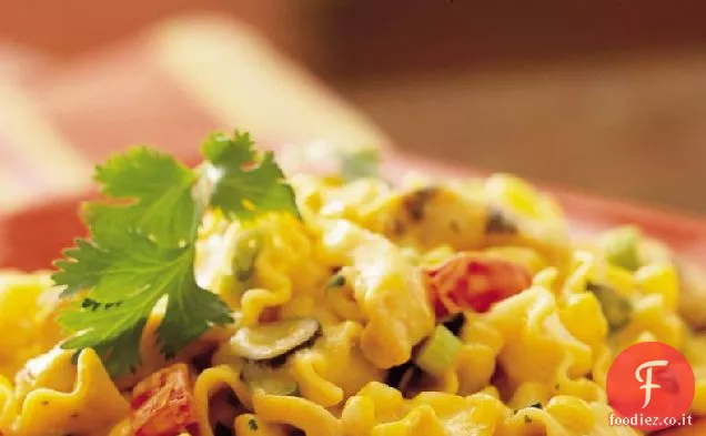 Casseruola di pollo sud-ovest di formaggio