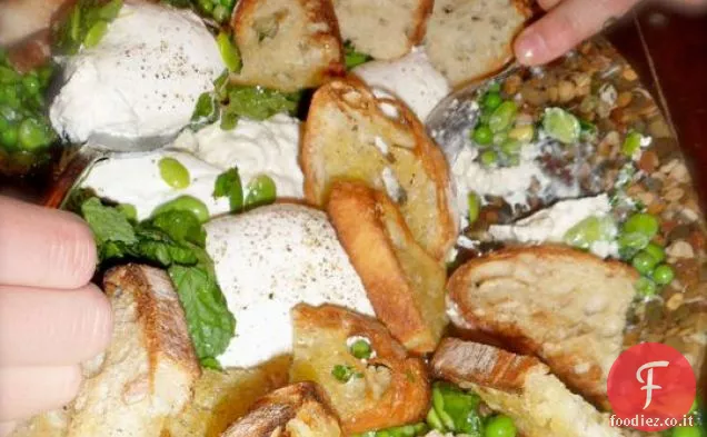 Fave e Piselli con Burrata
