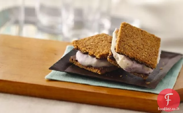 Fruttato Frozen Yogurt Gelato Panini