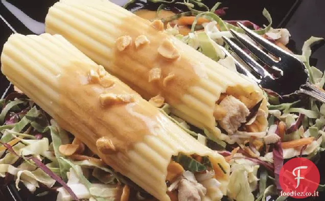 Insalata di manicotti di pollo asiatico