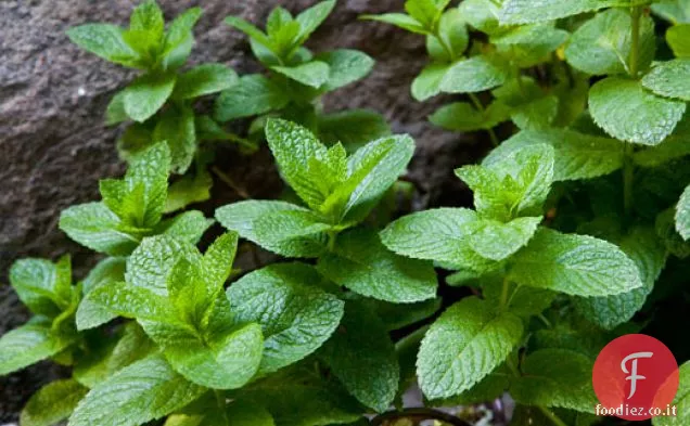 Hummus di piselli primaverili