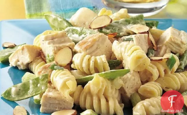 Baccello di piselli e insalata di pasta di pollo
