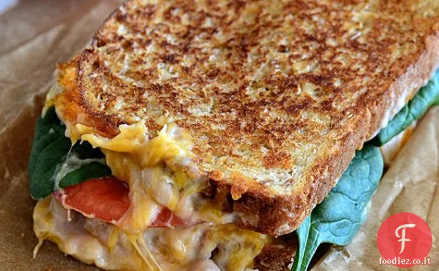 Cheddar di fagioli bianchi