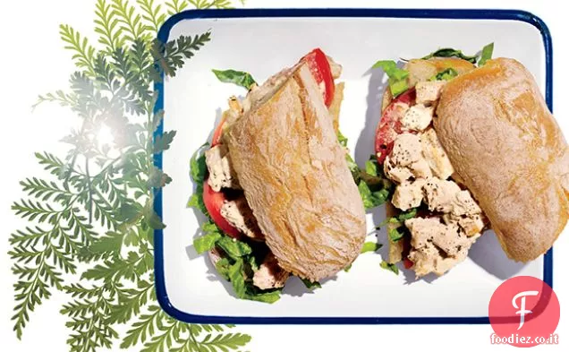 Pollo tritato Caesar Sammies