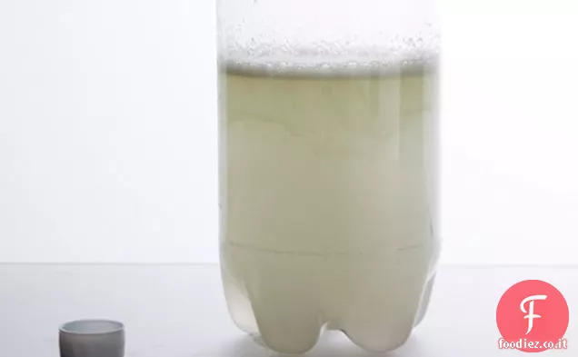 Birra allo zenzero fatta in casa