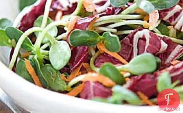 Insalata di carote e girasole