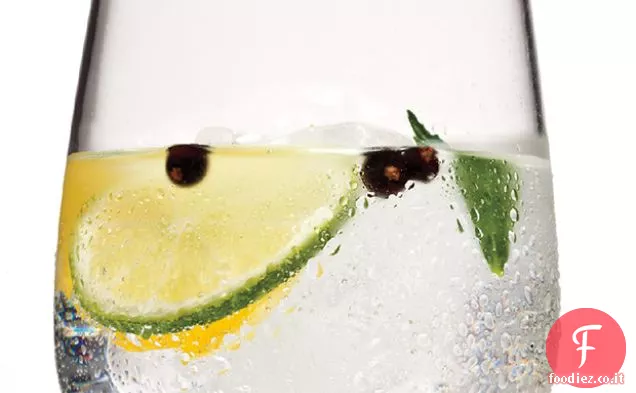 José Gin & Tonic