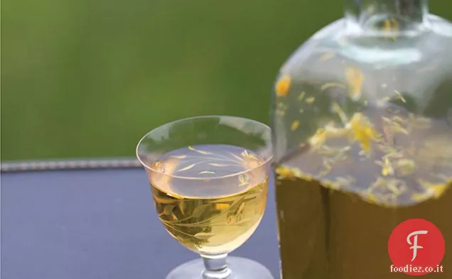 Tarassaco Vino