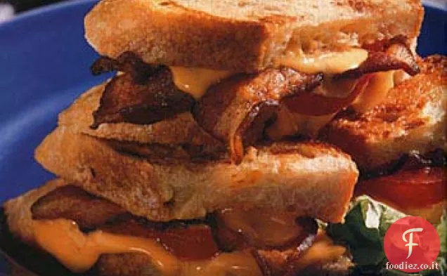 Panini alla griglia con cheddar, pomodoro e pancetta