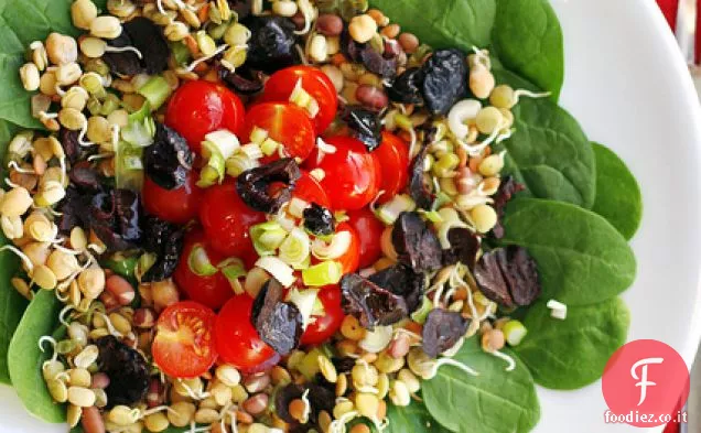 Pomodori, germogli di soia misti e spinaci