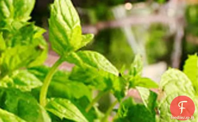 Cena di stasera: Spinaci alla menta e Crème Fraîche