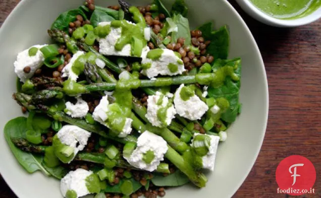Insalata di lenticchie e spinaci con asparagi fritti, Paneer e C