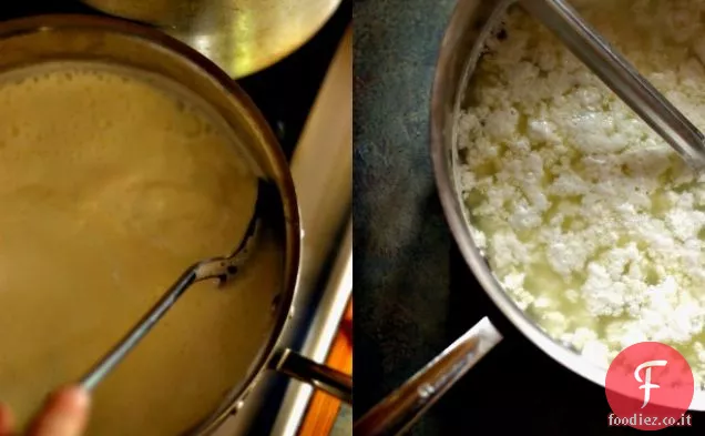 Saag Paneer: Spinaci con formaggio indiano