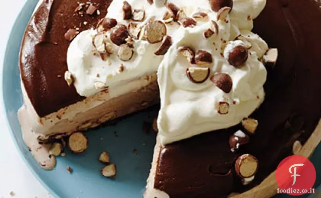 Torta di gelato al latte maltato