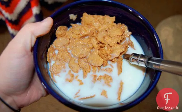 Barrette di cereali integrali