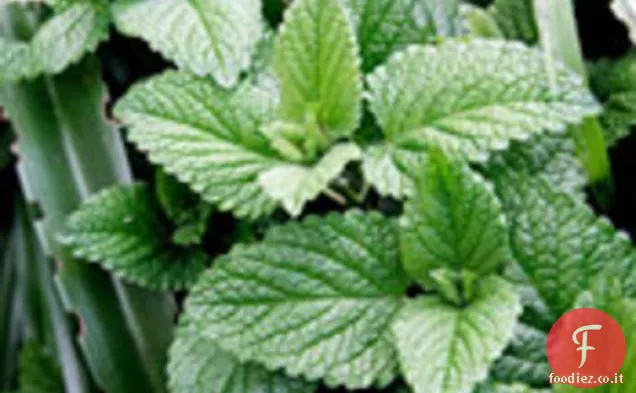 Meraviglioso gelato alla menta