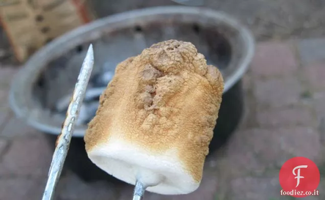Cracker Graham fatti in casa per S'mores fantasia
