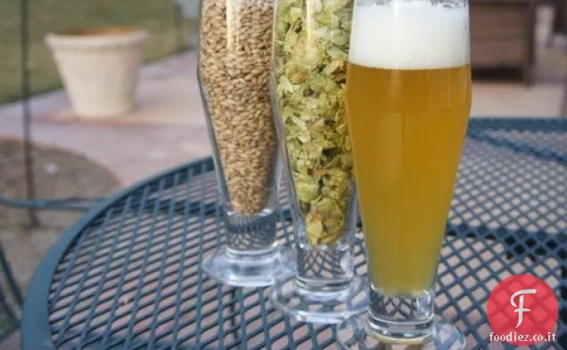 Single-Malt, Single-Hop IPA (per i principianti Homebrewers)