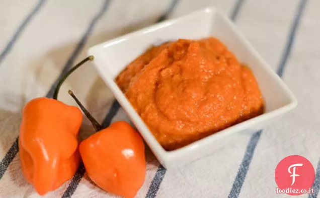 Salsa piccante Habanero arrosto di carote e pomodori