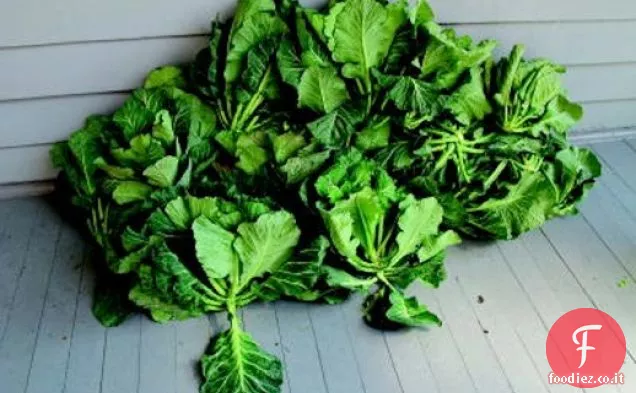 I collardi a quattro peperoni di Matt di ' The Lee Bros. Charleston Kitchen