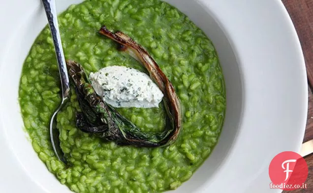 Risotto Rampante Extra-Rampy
