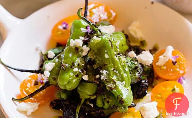 Insalata di pepe Padrón
