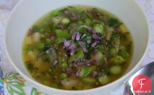 Zuppa di giardino di primavera