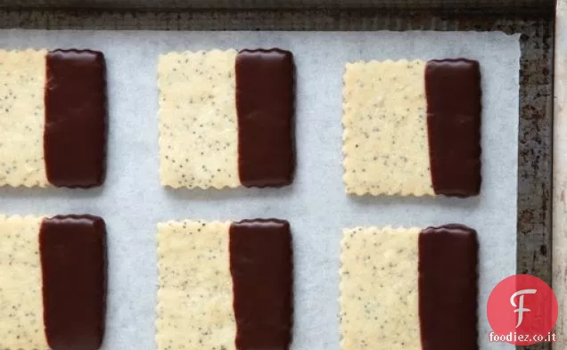 Quadrati di semi di papavero con punte di cioccolato