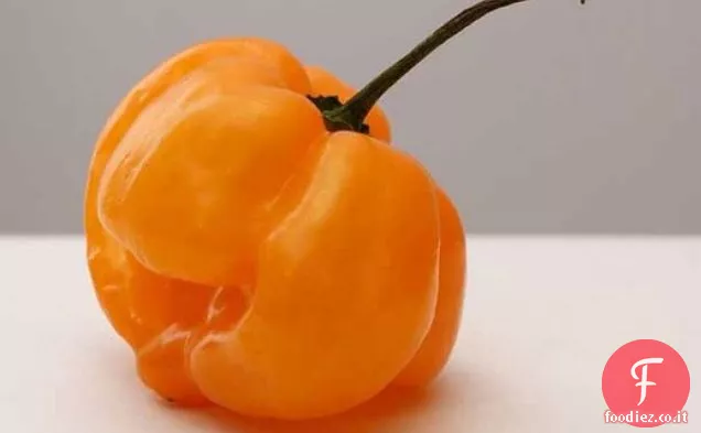 Habanero-Tacchino arrosto in salamoia