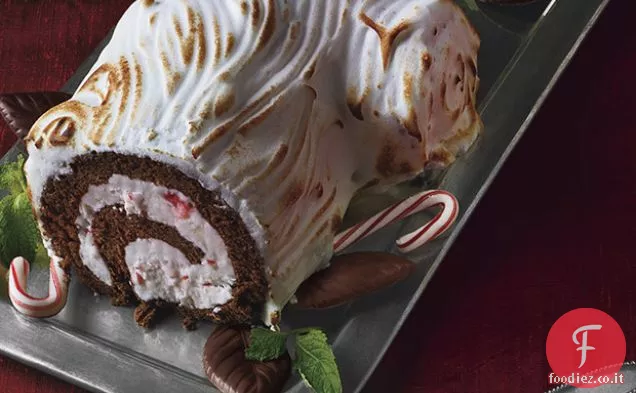 Cioccolato congelato-Peppermint Bùche de Noël