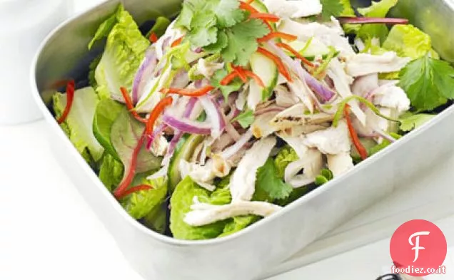 Insalata di pollo asiatica