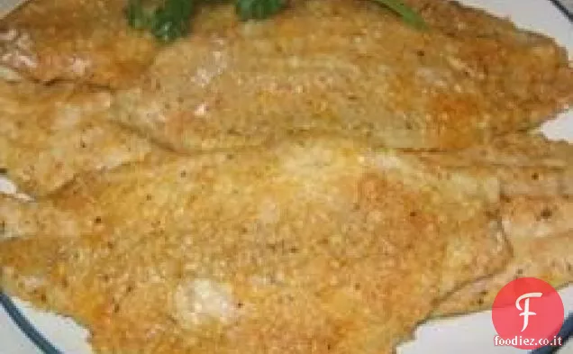 Pesce gatto formaggio