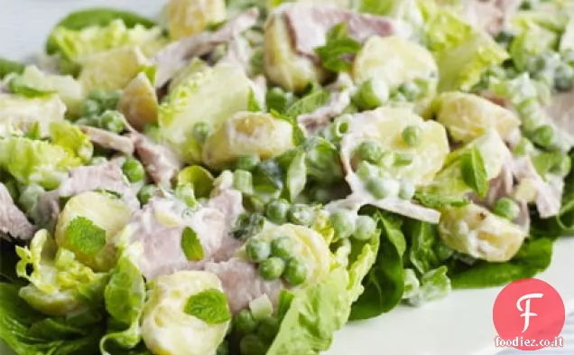 Insalata di prosciutto grande