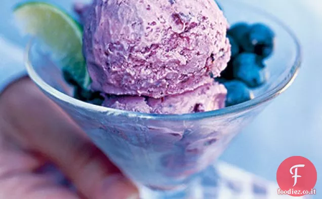 Gelato al mirtillo, cocco e lime