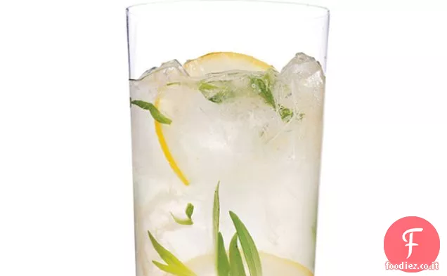 Dragoncello frizzante-Gin Lemonade