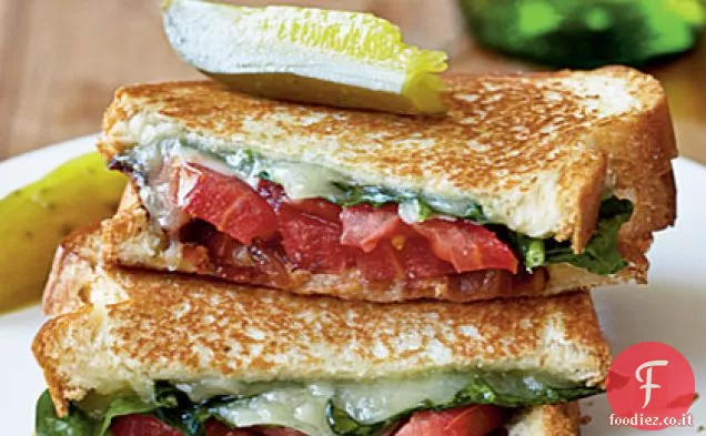 Panini al formaggio grigliato per adulti