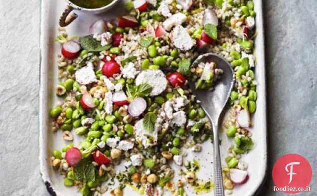 Insalata di fave, orzo e menta