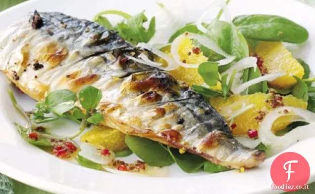 Sgombro alla griglia con insalata di arancia, peperoncino e crescione