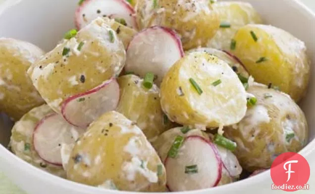 Insalata reale Jersey con crema di rafano