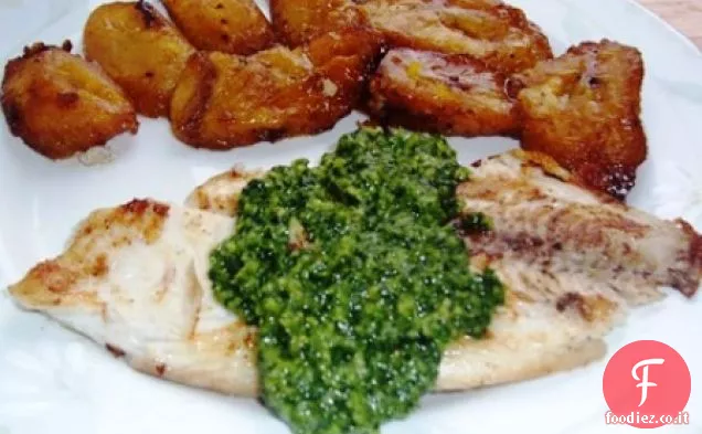 TILAPIA CON PESTO DI CORIANDOLO (TILAPIA A LA PLANCHA CON PESTO DI CORIANDOLO)