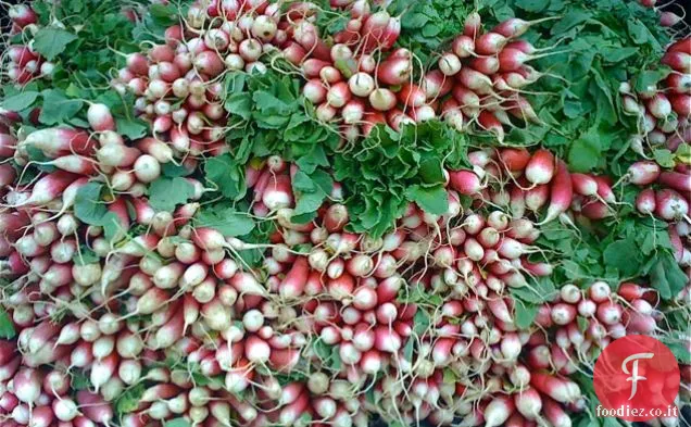 Piccante appassito cetriolo Insalata di ravanello