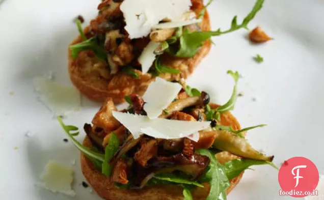 Bruschetta ai funghi selvatici