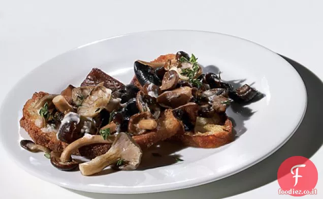 Crostini di Funghi selvatici