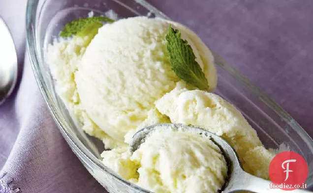 Gelato alla menta fresca