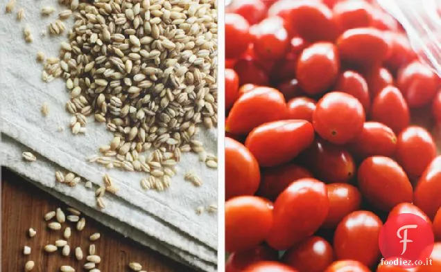 Insalata di orzo Ratatouille