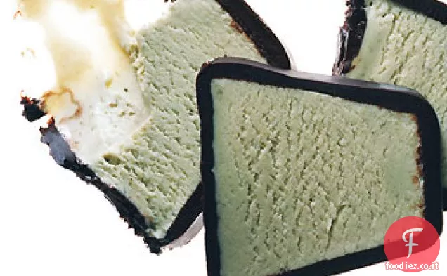 Terrina Gelato alla Menta ricoperta di cioccolato