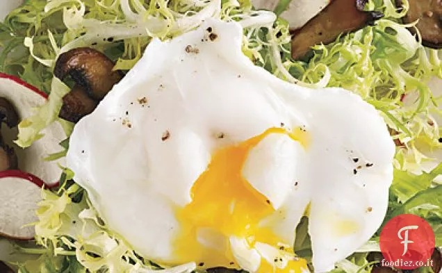 Frisée e Insalata di funghi selvatici con uovo in camicia